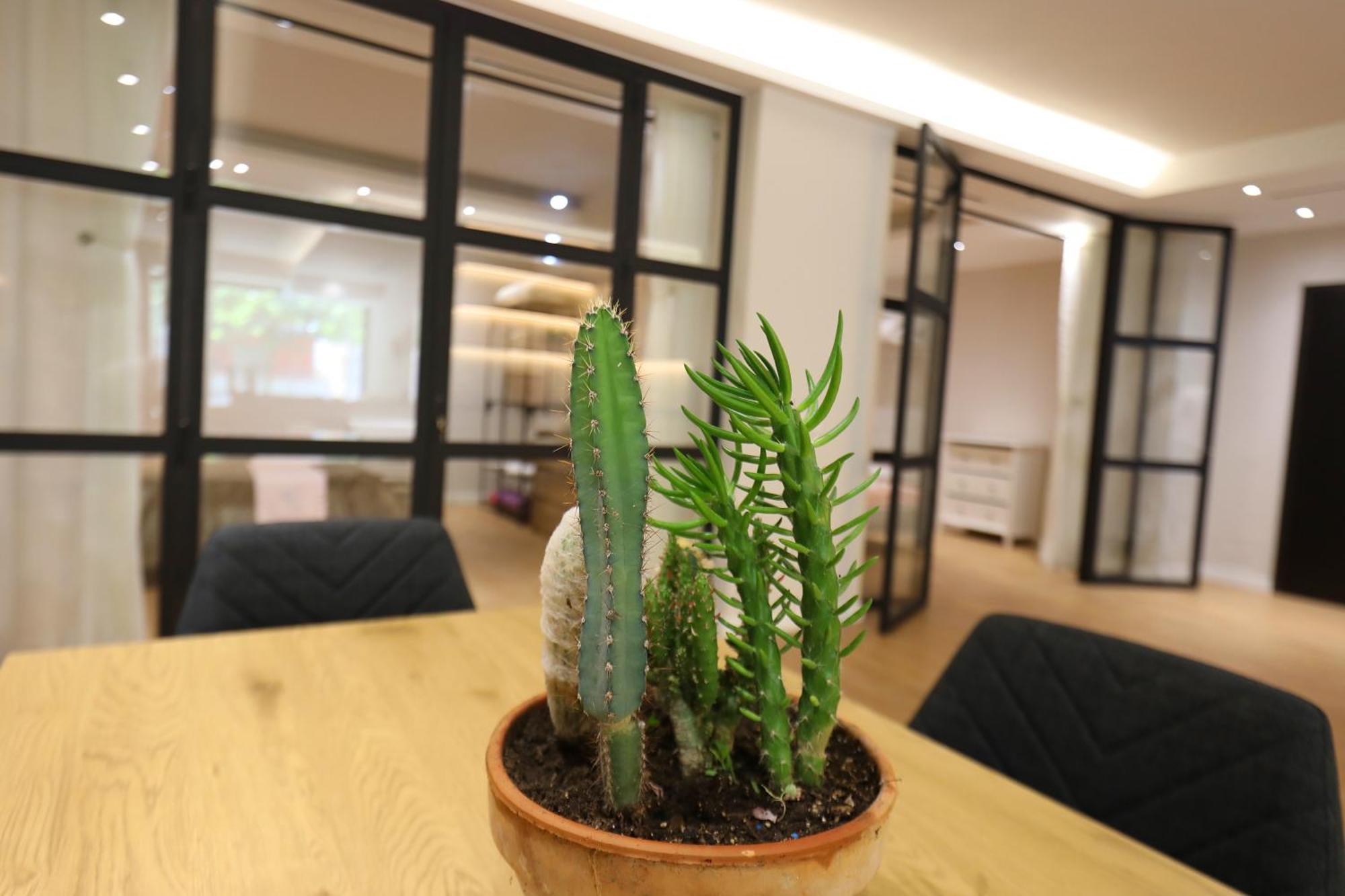 Amantia Apartment Vlorë エクステリア 写真